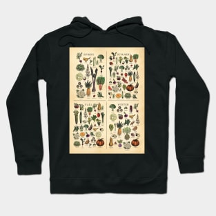 American Northeast Seasonal Fruit and Vegetable vintage etching. Hoodie